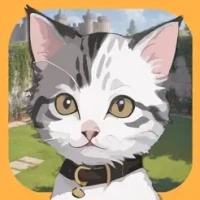 Cat And Seek
