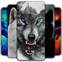 Wolf Wallpaper