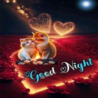 Good Night GIF