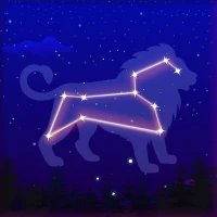 Night Sky Map: Star Gazer View