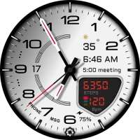 D355 Analog Watch Face