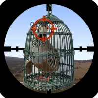 Partridge Hunter
