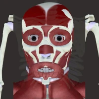 Human Anatomy -3D Atlas