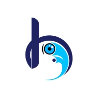 Blue VPN