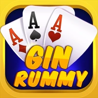 Gin Rummy Offline Classic Game