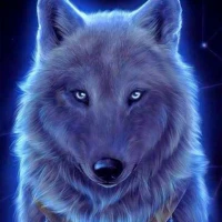 Wolf Live Wallpaper 4K