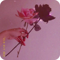 Aesthetic Offline Wallpapers