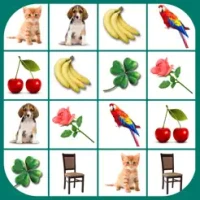 Brain game. Picture Match
