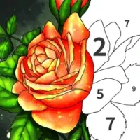 Art Color - Color by Number