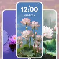 Lotus Wallpaper 4K
