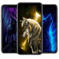 Wolf Wallpaper HD