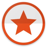 Project Manager
