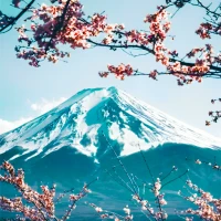 Aesthetic Japanese Wallpapers