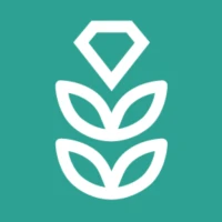 VPN Rice: Fast & Secure Proxy