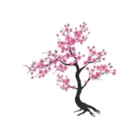 Timefully &#8226; Meditation Timer