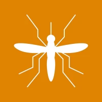 Mosquito M.A.