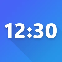 Big Clock Display Timer
