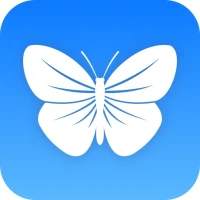 Blue VPN