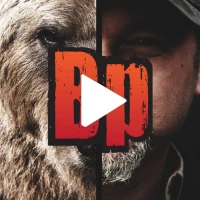 Bearplay