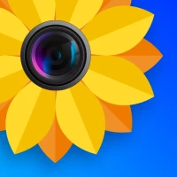 Photo Gallery