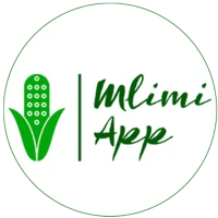 Mlimi