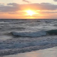Real Beach Live Wallpaper