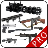 Real Gun Sounds - 2024