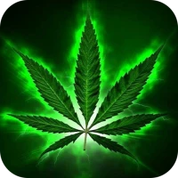 Weed Wallpaper: 4K live