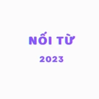N&#7889;i t&#7915;: ch&#417;i n&#7889;i t&#7915; &#273;&#234;