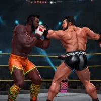 Street Wrestler Championship