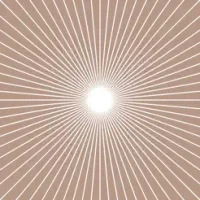 SPINE - The Spiritual Network