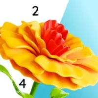 Harmony Color