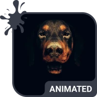 Dog Face Live Wallpaper Theme