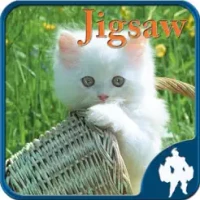 Cats Jigsaw Puzzles - Titan