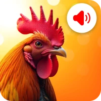 Animal Ringtones & Wallpaper