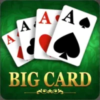 Solitaire Cozy - Big Card