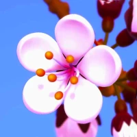 sakura wallpaper