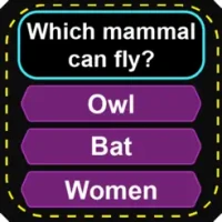 Trivia Questions: Millionaire?