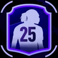 FUTDITS 25 Draft &amp; Pack Opener