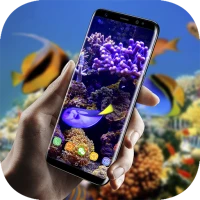 Real Aquarium Live Wallpaper
