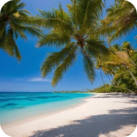 Beach Live Wallpaper 4K
