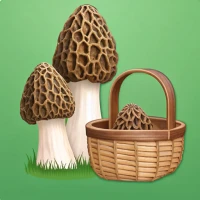 Mushroom Finder:Mushroom Spots