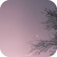 [WISH] 달밤 카톡 테마