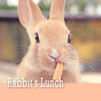Rabbit's Lunch Theme +HOME
