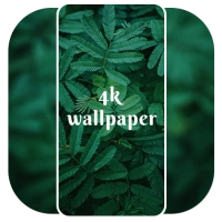 4K Wallpaper - Live Wallpapers