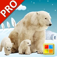 Animals Cards Games PRO