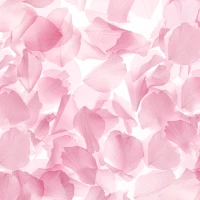 Sheer Sakura Theme +HOME
