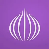 TOR Browser: OrNET Onion + VPN