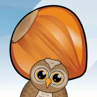 5 Nuts Quest