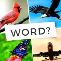 4 Pics - Word Guessing Game